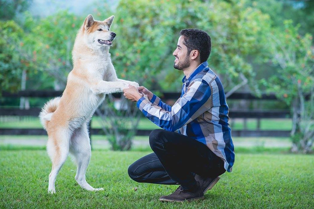 MEDICINA VETERINÁRIA/FUNORTE/JUL/2017 - ENSAIO TEMÁTICO