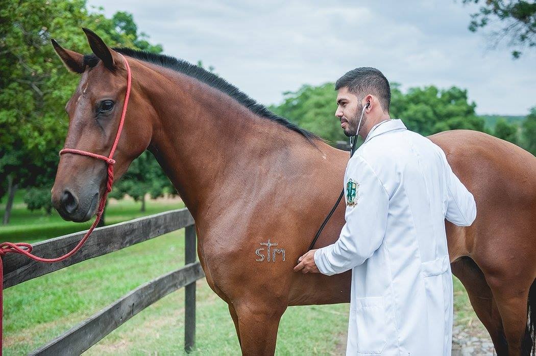 MEDICINA VETERINÁRIA/FUNORTE/JUL/2017 - ENSAIO TEMÁTICO