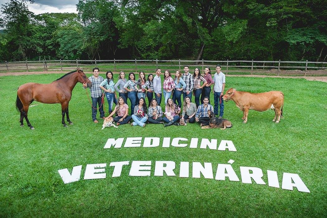 MEDICINA VETERINÁRIA/FUNORTE/JUL/2017 - ENSAIO TEMÁTICO